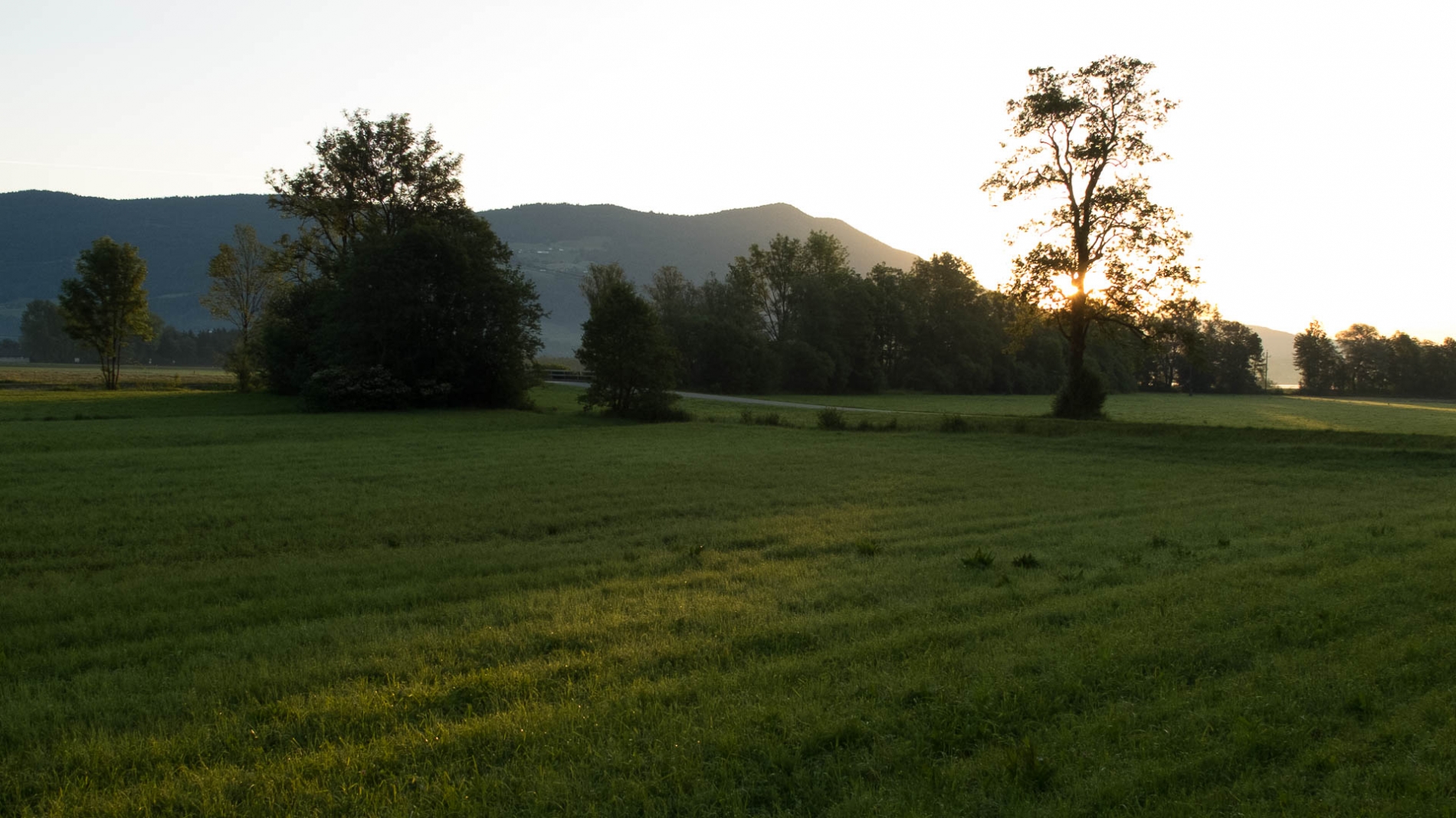 Drachenwand klettersteige 2014