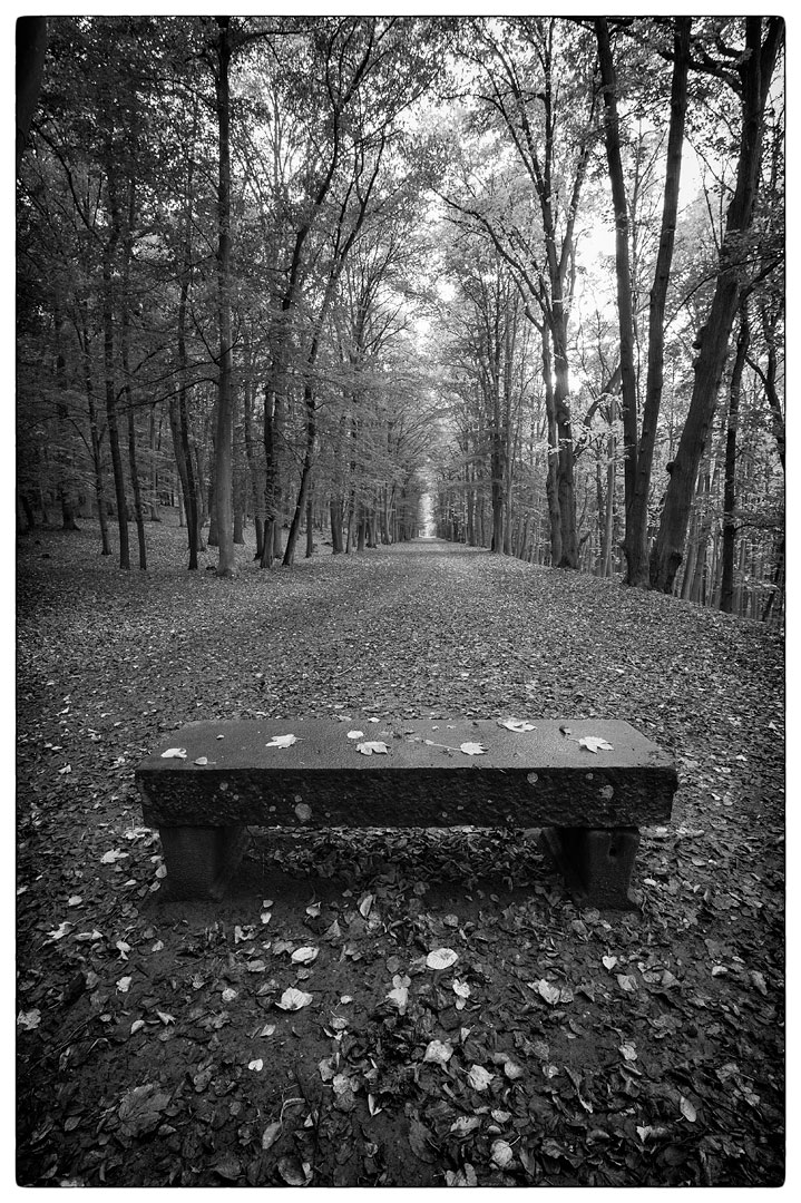 _DSC2604-Edit