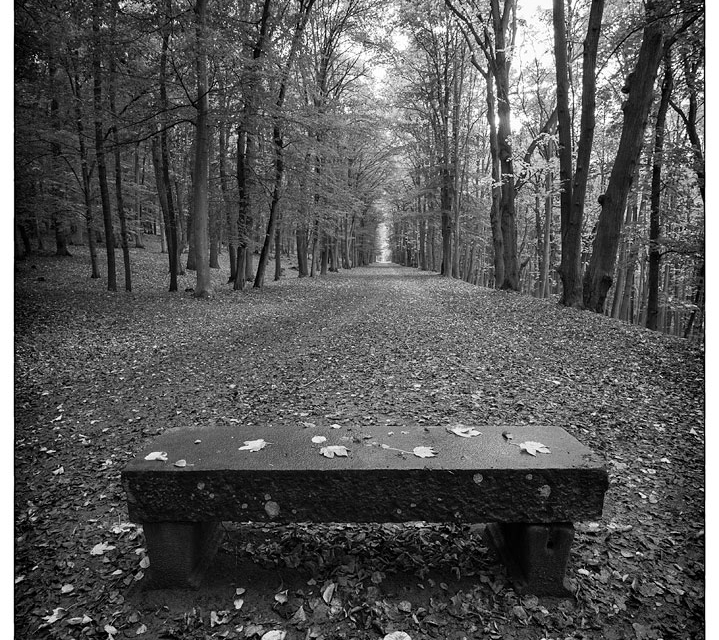 _DSC2604-Edit