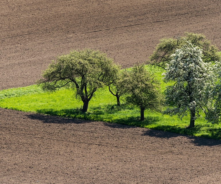 Město